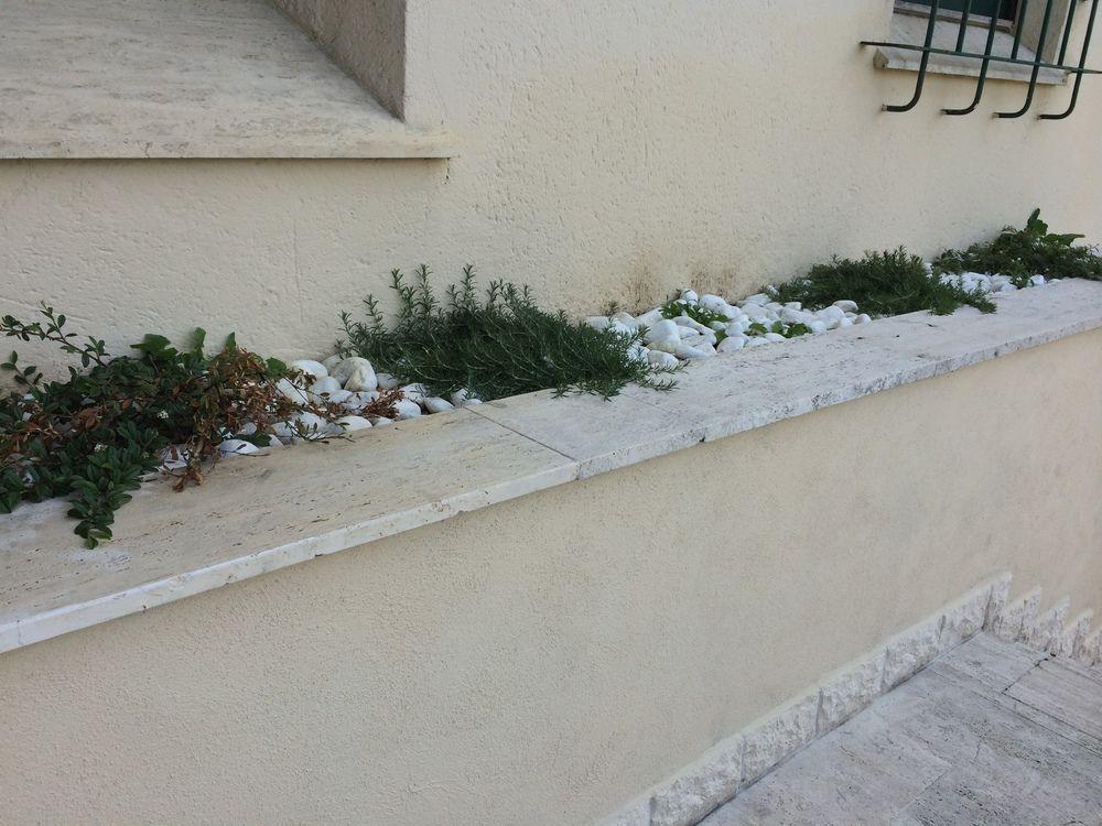 Residence Europa Piacenza Exterior photo